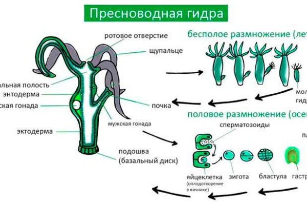 Ссылки на кракен маркетплейс