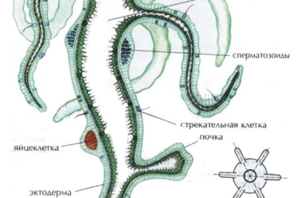 Сайт кракен тор браузера