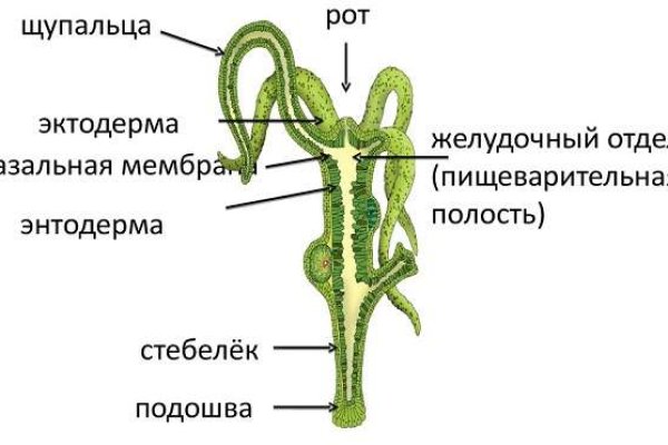 Кракен даркнет маркетплейс