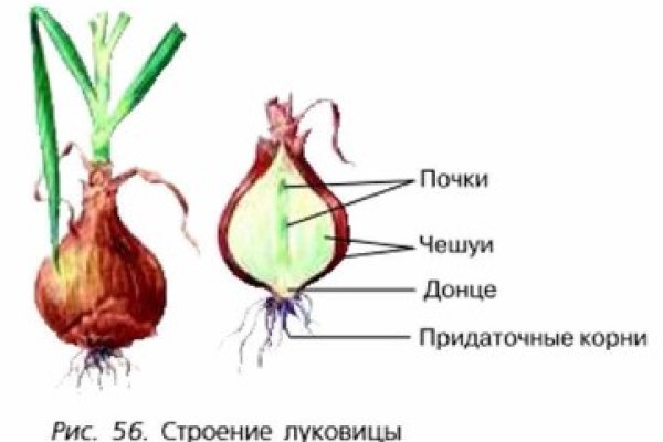 Кракен зеркало на сегодня